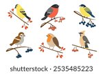 Set of autumn, winter birds. Sparrow, siskin, waxwing, robin, tit, bullfinch. Birds of different breeds with berries on a branch. Vector illustration isolated on white background, cartoon, flat style.