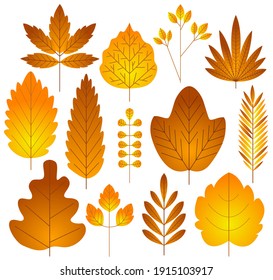 Set with autumn yellow leaves of different shapes. Colored vector illustration.