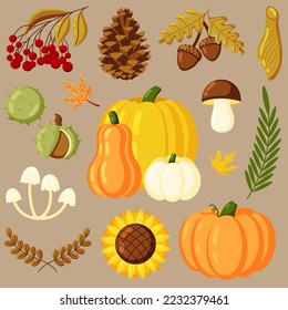 Set of autumnal elements, autumn harvest season, flat and simple vector illustration.