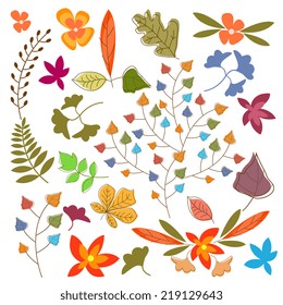 set autumnal leaves