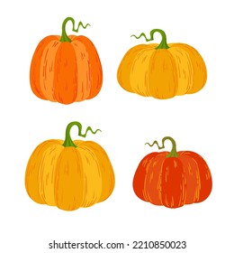 Set of  autumnal pumpkins, vector cartoon illustration on white background.