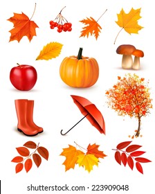 Set of autumn-themed objects. Vector