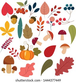 Collection Cute Leaves Mushroom Flat Vector Stock Vector (Royalty Free ...