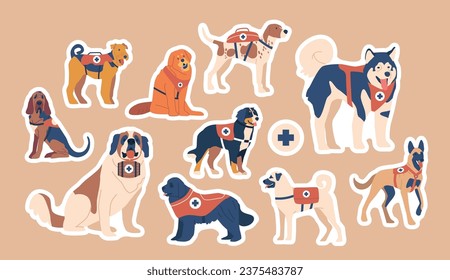 Set of Avalanche Rescue Dogs Stickers. Trained Canines Specialized In Locating And Rescuing Victims, Patches