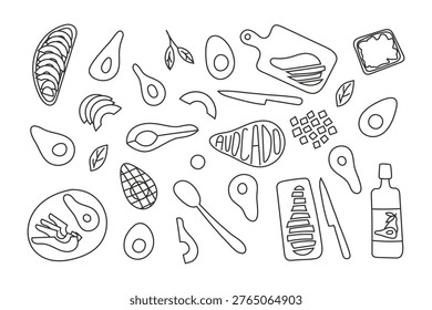 Set of avocado in different forms (whole, half, sliced, cut, oil, toast). Concept of healthy eating, fresh ingredients, plant based diet and modern food lifestyle.