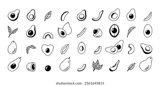 Set of avocado doodle element. Hand drawn whole and halves avocado, leaves, seed fruit illustration