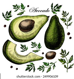 Avocado Drawing Images, Stock Photos u0026 Vectors  Shutterstock