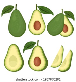 Set of avocado fresh fruits with leaves and slices vector illustration.