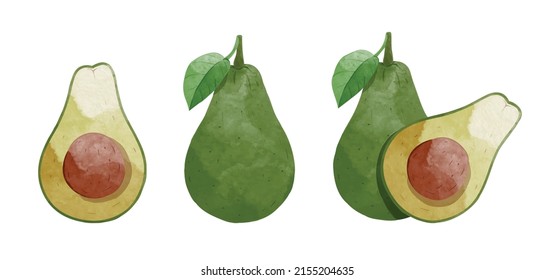 Conjunto de elementos de diseño de frutas de aguacate. ilustración vectorial de estilo acuarela.