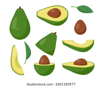 Set of Avocado fruit icons. Whole, half leaves and slices of green fruit avocado. Tropical avocadoes plant and seeds. Organic healthy vegetarian food. Vector illustration isolated on white background.