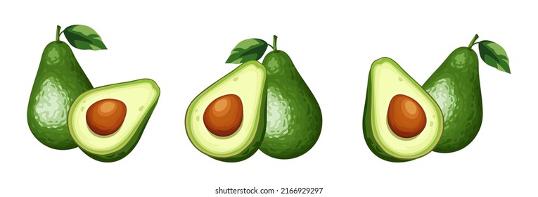 Set of avocado fruit isolated on a white background. Vector illustration