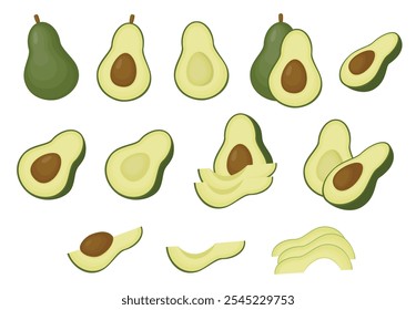 Set of avocado fruit vector illustration. Whole and slices of avocado fruit.