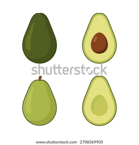 Set of avocado fruit vector illustration showing whole and seed variations.