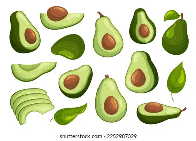 Conjunto de frutas y hojas de aguacate. Piezas enteras y cortadas de plantas tropicales aisladas en fondo blanco. Semillas con semillas y frutas frescas orgánicas cortadas. Ilustración del vector de dibujos animados