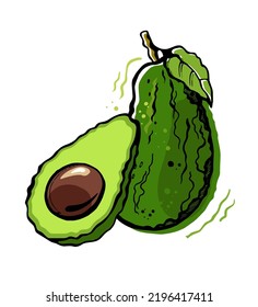 Set of avocado fruits on white background. Whole and half. Hand drawn vector illustration.