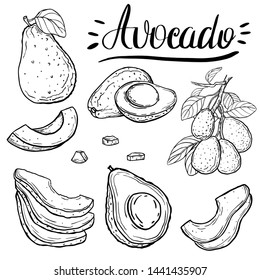 
A set of avocado, hand-painted, cut avocado, whole, in slices, growing on a tree. Illustration for a menu of restaurants, cafes, postcards, prints.