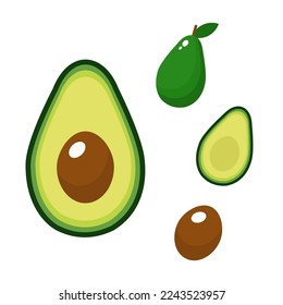 establecer ilustración de avocado fondo blanco aislado