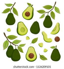 Set of avocado illustrations isolated on white background