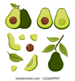 Set of avocado illustrations isolated on white background. Slice and whole fruit, branch, seed, leaf. Vegan food vector icons in cute cartoon style.