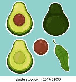 Set von Avocado-Illustrationen einzeln auf weißem Hintergrund. Früchte, Samen, Blätter. Veganische Nahrungsmittel-Vektorsymbole in süßem Cartoon.