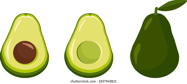Set of avocado isolated on white vector illustration