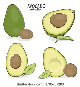 Set with avocado on a white background. Colorful vector illustration in sketch style.