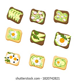 Set avocado toast. Sandwich with bread, avocado, egg, radish, dill and sesame seeds, isolated on white background. Organic healthy food. Vector cartoon illustration.