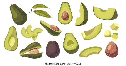 Conjunto de Elementos de Diseño de Ingredientes de Comida Vegetaria de Aguacate. Frutas frescas o verduras enteras, trozos en trozos o en rodajas, hojas verdes y pozos pardos aislados en fondo blanco. Ilustración del vector de dibujos animados