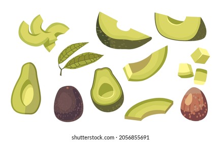 Set of Avocado Whole, Diced or Sliced Pieces, Green Leaves and Brown Pit. Fresh Fruit or Vegetable Isolated on White Background. Vegetarian Food Ingredient Design Elements. Cartoon Vector Illustration