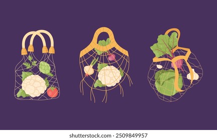 set of avocets with vegetables. Healthy food