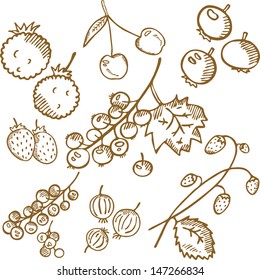 Set of b berries in sepia. Hand drawn illustration. 
