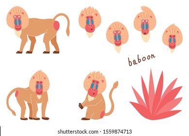 Set of baboons in a cartoon style. Children's pictures with animals. Cartoon illustration of a baboon vector icon on a white isolated background.