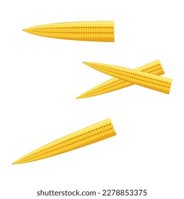 Set of baby corn isolated on white background, vector illustration.