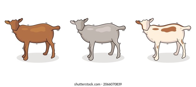 Set of Baby Goats. Vector Illustration. EPS 10.