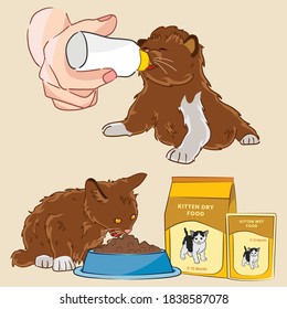 Set baby kitten cats vector illustration