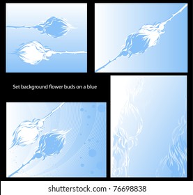 Set background flower buds on a blue