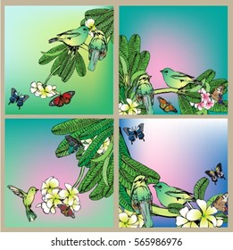 Set background frangipani and birds.greeting card garden, invitation card for wedding, vintage flowers composition. decorative background and text, vector illustration EPS10.