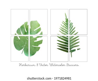 Set the background of the greeting card template.The decoration with coconut palm leaves and flower flowers in a summer tropical watercolor style. Vector illustration