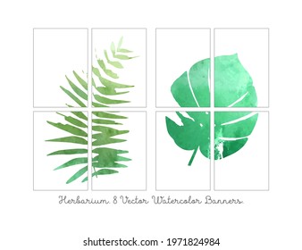 Set the background of the greeting card template.The decoration with coconut palm leaves and flower flowers in a summer tropical watercolor style. Vector illustration