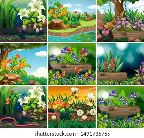 Set of background scene with nature theme illustration