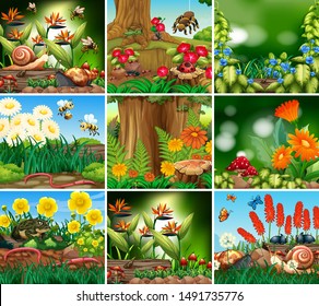 Set of background scene with nature theme illustration
