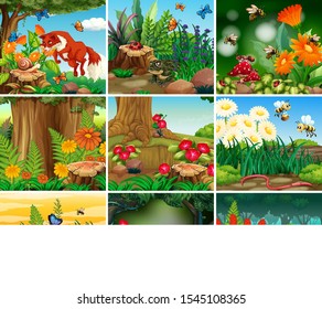 Set of background scene with nature theme illustration
