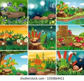 Conjunto de escenas de fondo con ilustración de temas de naturaleza