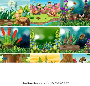 Set of background scene with nature theme illustration