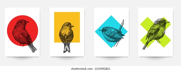 Set background template of card, cover, poster, banner, flyer with hand drawn birds and color geometric shapes. Collection minimalistic modern art composition. Creative vector illustration.
