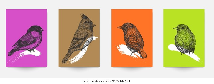 Establece la plantilla de fondo de la tarjeta, portada, afiche, pancarta, volante con pájaros dibujados a mano y formas de grueso de color. Composición minimalista de arte moderno. Ilustración vectorial creativa.