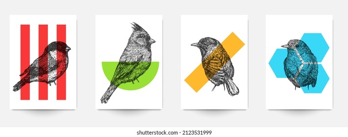 Establece la plantilla de fondo de la tarjeta, portada, afiche, pancarta, volante con pájaros dibujados a mano y formas geométricas de color. Composición minimalista de arte moderno. Ilustración vectorial creativa.