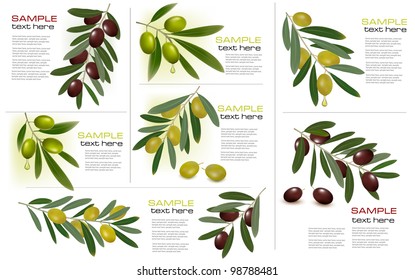 Set of backgrounds with green and black olives. Vector illustration.