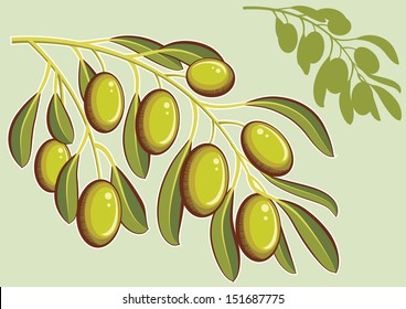 Set of backgrounds with green olives