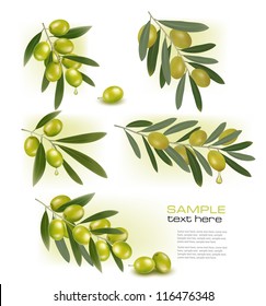 Set of backgrounds with green olives. Vector illustration.